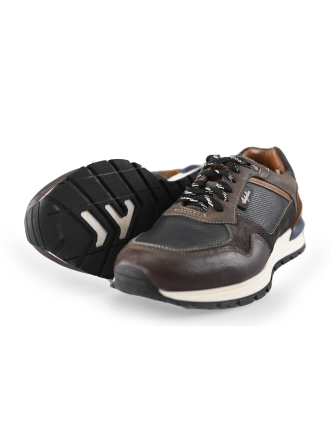 Australian Sneaker