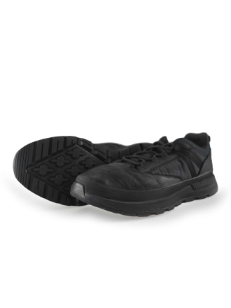 Timberland Sneaker