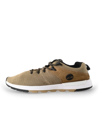 Timberland Sneaker