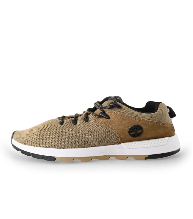 Timberland Sneaker