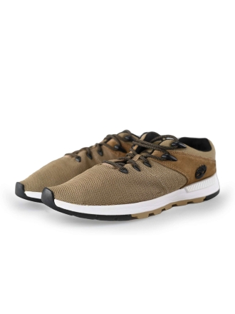 Timberland Sneaker