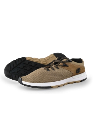 Timberland Sneaker