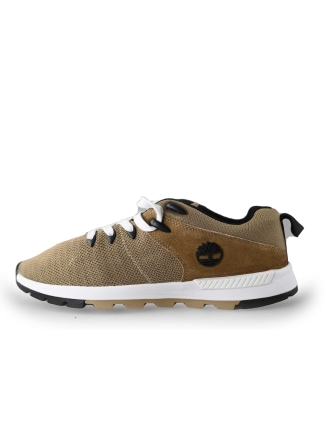 Timberland Sneaker