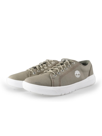 Timberland Sneaker