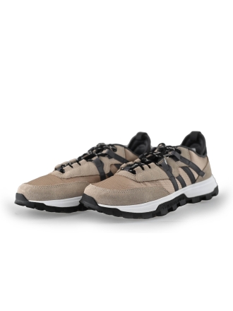 Timberland Sneaker