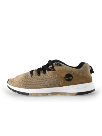 Timberland Sneaker