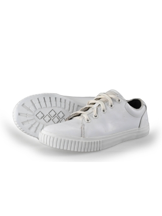 Timberland Sneaker