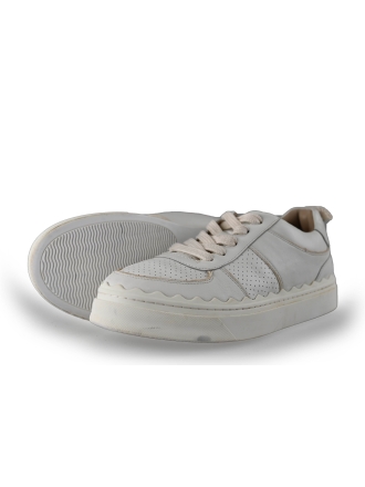 Chloe Sneaker