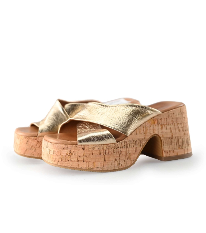 Notre-V pumps