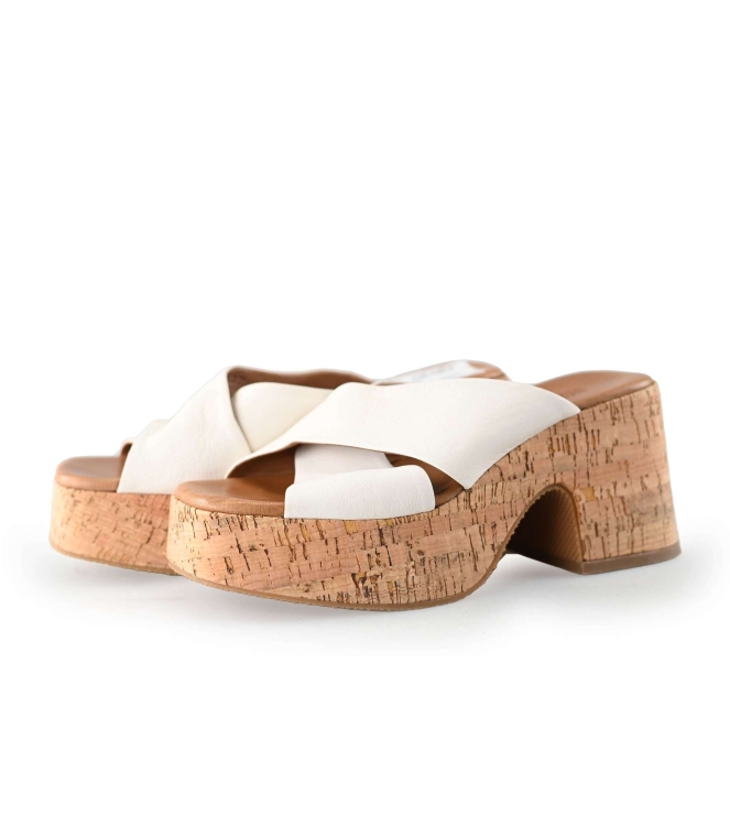 Notre-V pumps