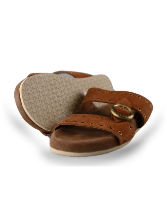 Lazamani Flip-Flops