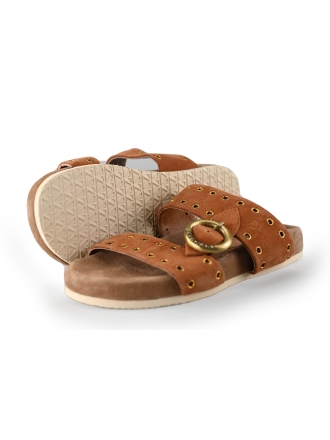 Lazamani Flip-Flops