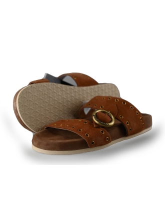 Lazamani Flip-Flops