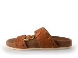Lazamani Flip-Flops