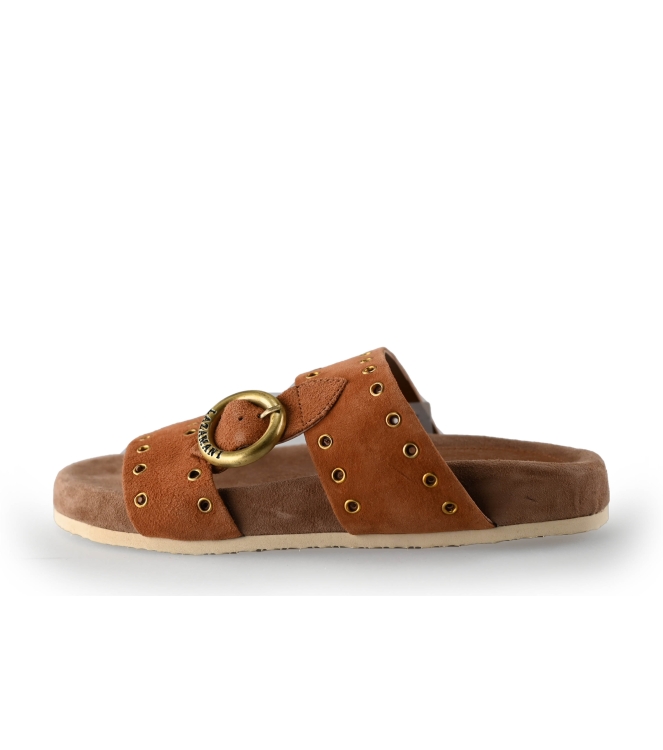 Lazamani Flip-Flops