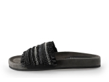 Lazamani Flip-Flops