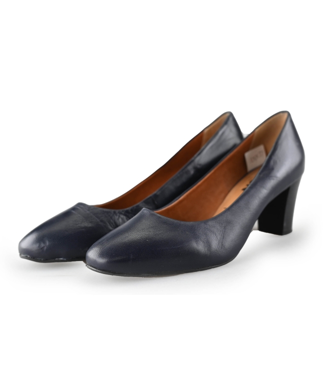 Nelson pumps