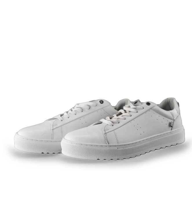 J.C. Rags Sneaker