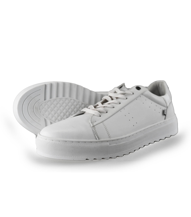 J.C. Rags Sneaker