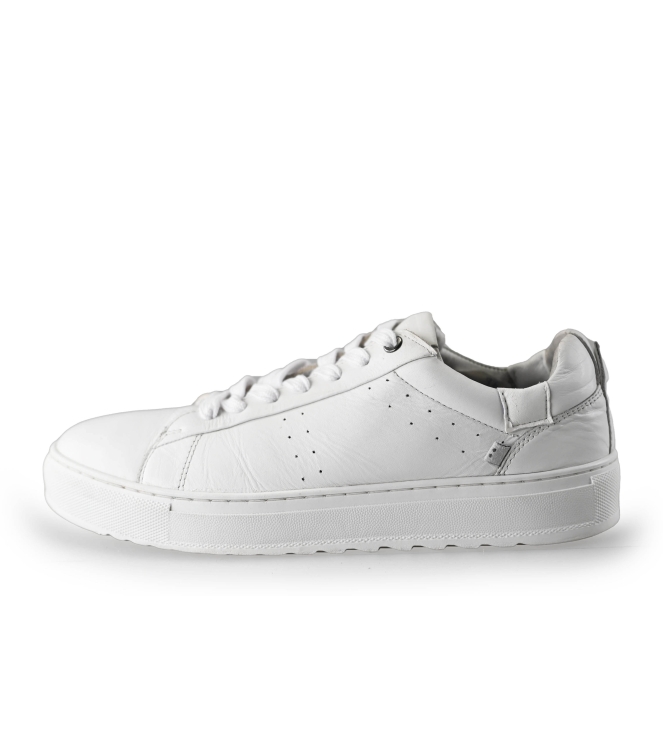 J.C. Rags Sneaker