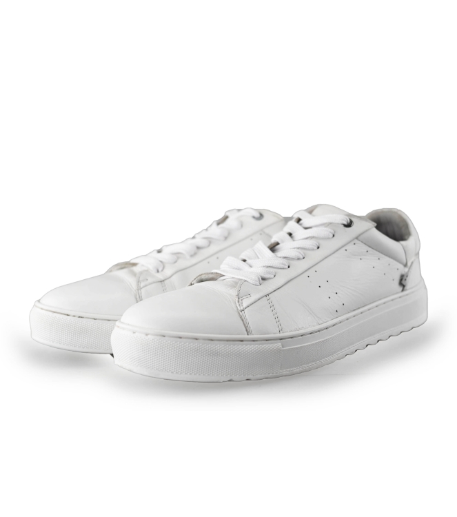 J.C. Rags Sneaker