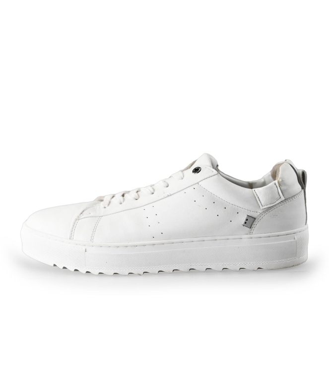 J.C. Rags Sneaker