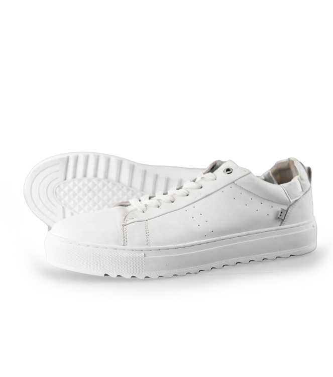 J.C. Rags Sneaker