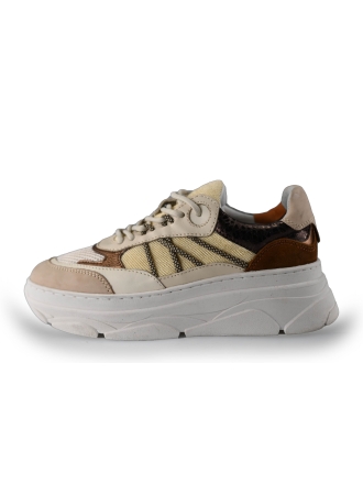 Nelson Sneaker Beige 235176