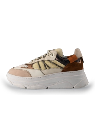 Nelson Sneaker Braun 235179