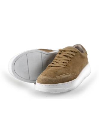 Sacha Sneaker