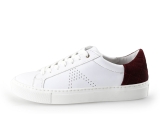Manfield Sneaker