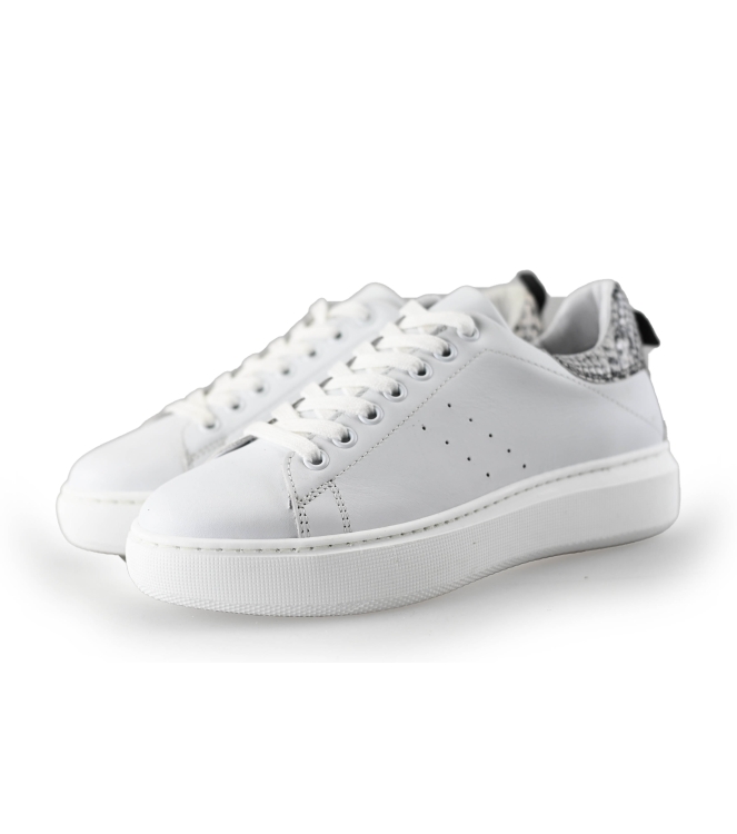 Manfield Sneaker