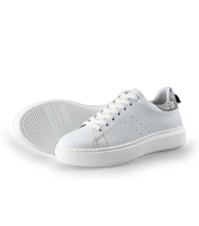 Manfield Sneaker