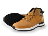Timberland Sneaker