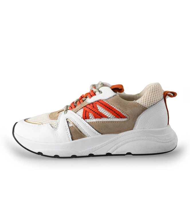 Sacha Sneaker