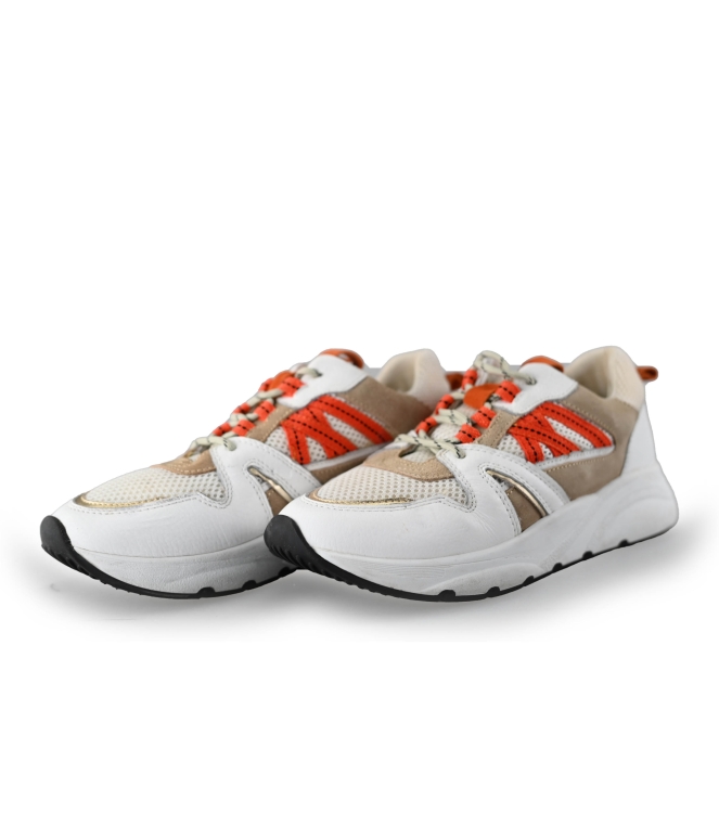 Sacha Sneaker