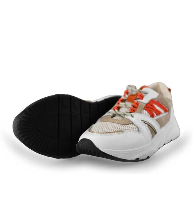 Sacha Sneaker