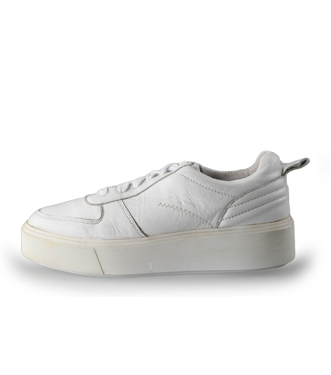 Sacha Sneaker