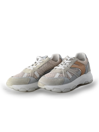 CKS Sneaker Sonstiges 237576