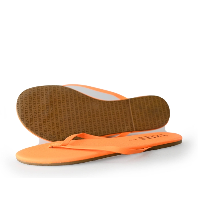 TKEES Flip-Flops