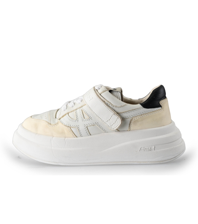 ASH Sneaker