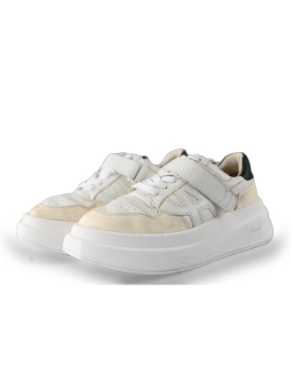 ASH Sneaker Beige 238862