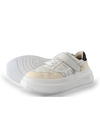 ASH Sneaker