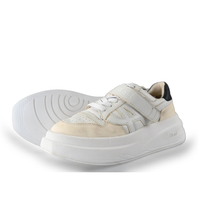 ASH Sneaker
