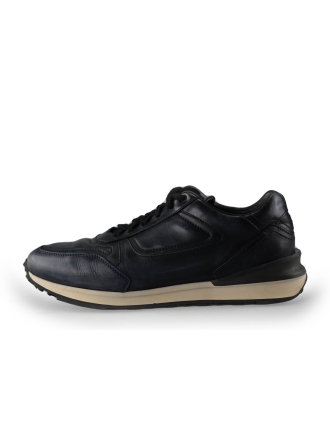 Greve Sneaker Schwarz 239678