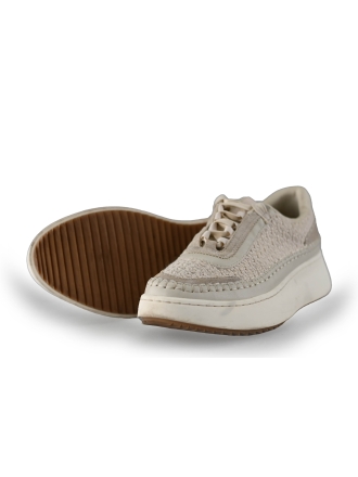Steve Madden Sneaker