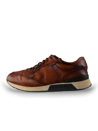 Greve Sneaker Braun 239729
