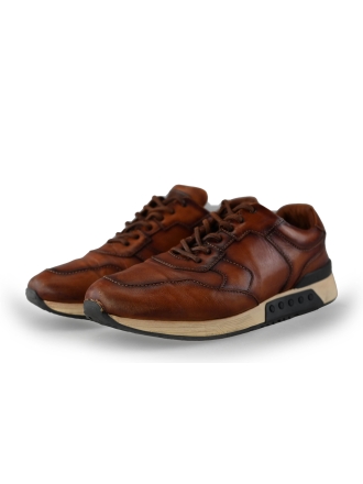 Greve Sneaker Braun 239729