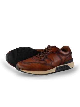 Greve Sneaker
