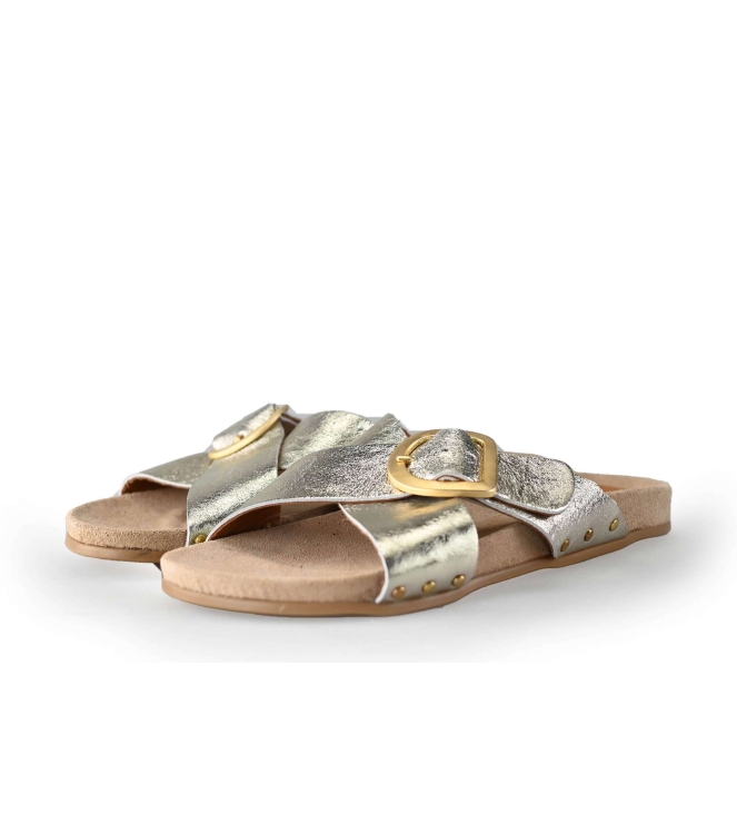 Notre-V Flip-Flops